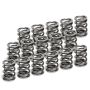 Supertech SPR-V2093-4-16 VW VR6 Dual Valve Spring - Set of 16