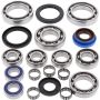 All Balls Racing 25-2089 2005 Polaris Sportsman 400 4x4 Transaxle Bearing & Seal Kit