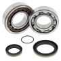 All Balls Racing 24-1098 Crank Bearing Kits