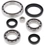 All Balls Racing 25-2073 07-11 Yamaha YFM350 Grizzly IRS Differential Bearing & Seal Kit Front