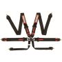 Racequip 851001 Black FIA CAMLOCK 6pt Pull Down Lap
