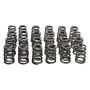 Manley Performance 26135K Manley Toyota Supra 2JZ 6 Cyl. Valve Spring and Retainer Kit (w/Valve Locks 13014-8)