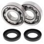 All Balls Racing 24-1011 83-04 Kawasaki KX500 Crank Shaft Bearing Kit