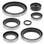 Vertex Pistons 822192 Vertex Gaskets 94-03 KTM EXC 300 Oil Seal Kit