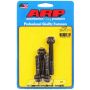 ARP ARP134-3203 SBC 12pt Short W/P Bolt Kit