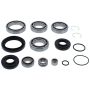 All Balls Racing 25-2110 15-19 Honda TRX500FA Differential Bearing & Seal Kit Front