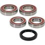Pivot Works 25-1707-P Ducati Wheel Bearing Kit Premium Bearings