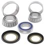 All Balls Racing 22-1060 16-22 Indian SCOUT SIXTY Steering Bearing Kit