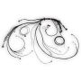Haltech HT-186500 NEXUS Rebel LS Terminated Harness for ECU