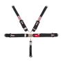 SIMPSON SAFETY SIM29061BKH Harness 5pt LL Pull-Up Lap B/I HANS Shoulder