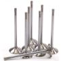GSC Power Division 2167-8 GSC P-D Ford Mustang 5.0L Coyote Gen 3 33mm Head (+1mm) Super Alloy Exhaust Valve - Set of 8