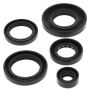 Vertex Pistons 822343 Vertex Gaskets 07-11 Arctic Cat 650 4x4 H1 Oil Seal Kit