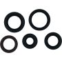 Vertex Pistons 822394 Vertex Gaskets 05-23 Polaris Phoenix 200 Oil Seal Kit