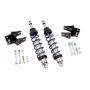 Ridetech 12146110 Rear HQ Coil-Overs for 1994-2004 Mustang.