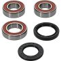 Pivot Works 25-1111-P Wheel Bearing Kit
