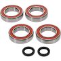Pivot Works 25-1128-P Kawasaki Wheel Bearing Kit Premium Bearings