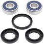 All Balls Racing 25-1448 Wheel Bearing Kits