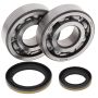 All Balls Racing 24-1021 96-02 Suzuki RM250 Crank Shaft Bearing Kit
