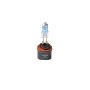 Putco 230893DW Double White 893 - Pure Halogen HeadLight Bulbs