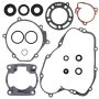 Vertex Pistons 811409 Vertex Gaskets 95-97 Kawasaki KX100 Complete Gasket Kit w/ Oil Seals