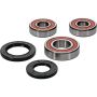 Pivot Works 25-1285-P Kawasaki Wheel Bearing Kit Premium Bearings