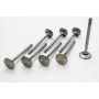 Manley 115268 Manley Valve - Intake, Valve-BBC R/F 2.250