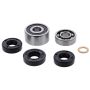 Vertex Pistons 721213 Vertex Gaskets 1998 Ski-Doo Formula III Water Pump Rebuild Kit