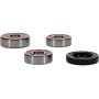Pivot Works 25-1517-P Wheel Bearing Kit
