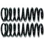 ICON 52700 2007+ Toyota FJ / 2003+ Toyota 4Runner Rear 2in Spring Kit