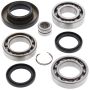 All Balls Racing 25-2061 05-14 Honda TRX500FA Differential Bearing & Seal Kit Rear