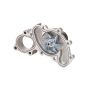 Dayco DP875 Water Pump