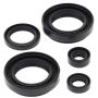 Vertex Pistons 822234 Vertex Gaskets 03-04 Arctic Cat 400 4x4 w/MT Oil Seal Kit
