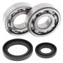 All Balls Racing 24-1017 86-88 Suzuki RM250 Crank Shaft Bearing Kit