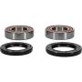 Pivot Works 25-1102-P Kawasaki Wheel Bearing Kit Premium Bearings
