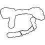 Autopart International Valve Cover Gasket 2002512141