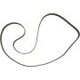 Autopart International Timing Belt 2006203557