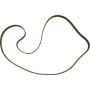 Autopart International Timing Belt 200656158