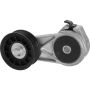 Autopart International Acc. Belt Tensioner Assy 200812827