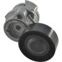 Autopart International Acc. Belt Tensioner Assy 2008481900