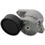 Autopart International Acc. Belt Tensioner Assy 200895871