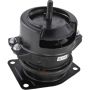 Autopart International Engine Mount 2700-540699 2010312839