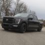 Ridetech 12290115 Ridetech lowering system for 2015-2026 F-150 4WD.