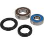 Pivot Works 25-1576-P Honda Wheel Bearing Kit Premium Bearings