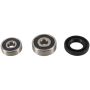 Pivot Works PWFWK-K14-006 Wheel Bearing Kit