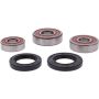 Pivot Works 25-1603-P Honda Wheel Bearing Kit Premium Bearings