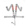 Racequip 711061 Platinum L & L 5pt Seat Belt
