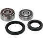 Pivot Works 25-1020-P Pw Premium Wheel Bearing