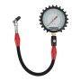 ALLSTAR PERFORMANCE ALL44046 Tire Pressure Gauge 0-15 PSI 4in Glow
