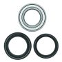 QuadBoss 413366 89-05 Kawasaki KLF300C Bayou 4x4 Front ATV Wheel Bearing & Seal Kit