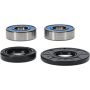 Pivot Works 25-1073-P Honda Wheel Bearing Kit Premium Bearings